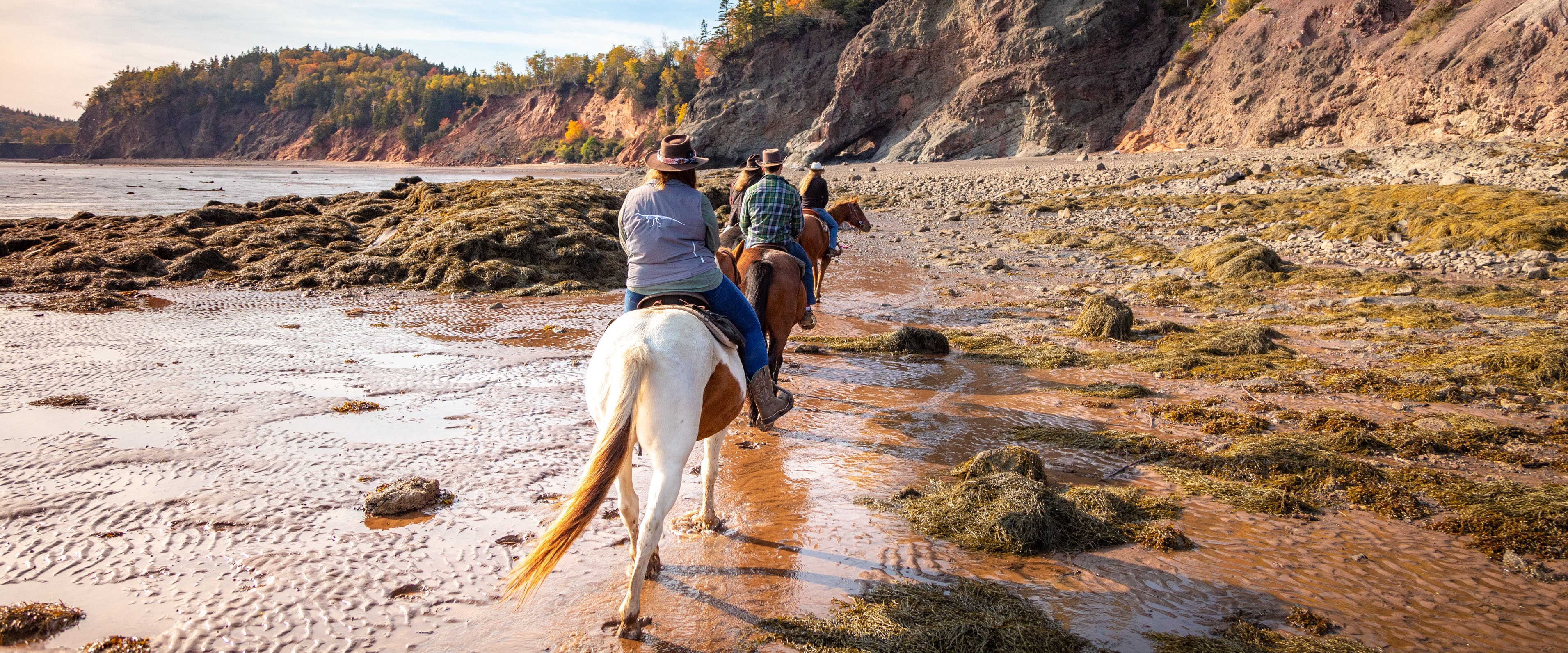 Line of people riding horses on the beach.