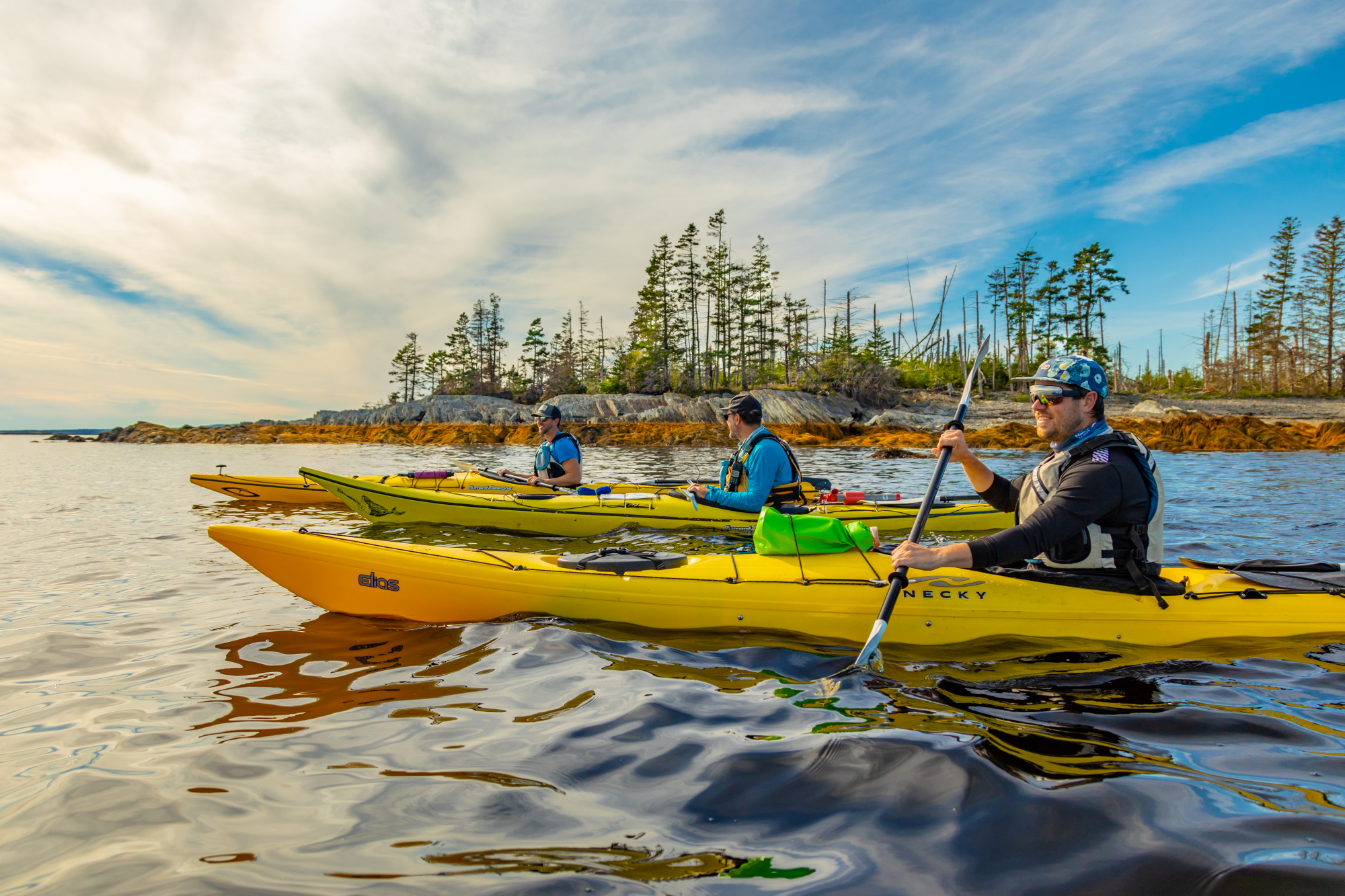 Three people in three kayaks, paddling around a tree dotted point. 