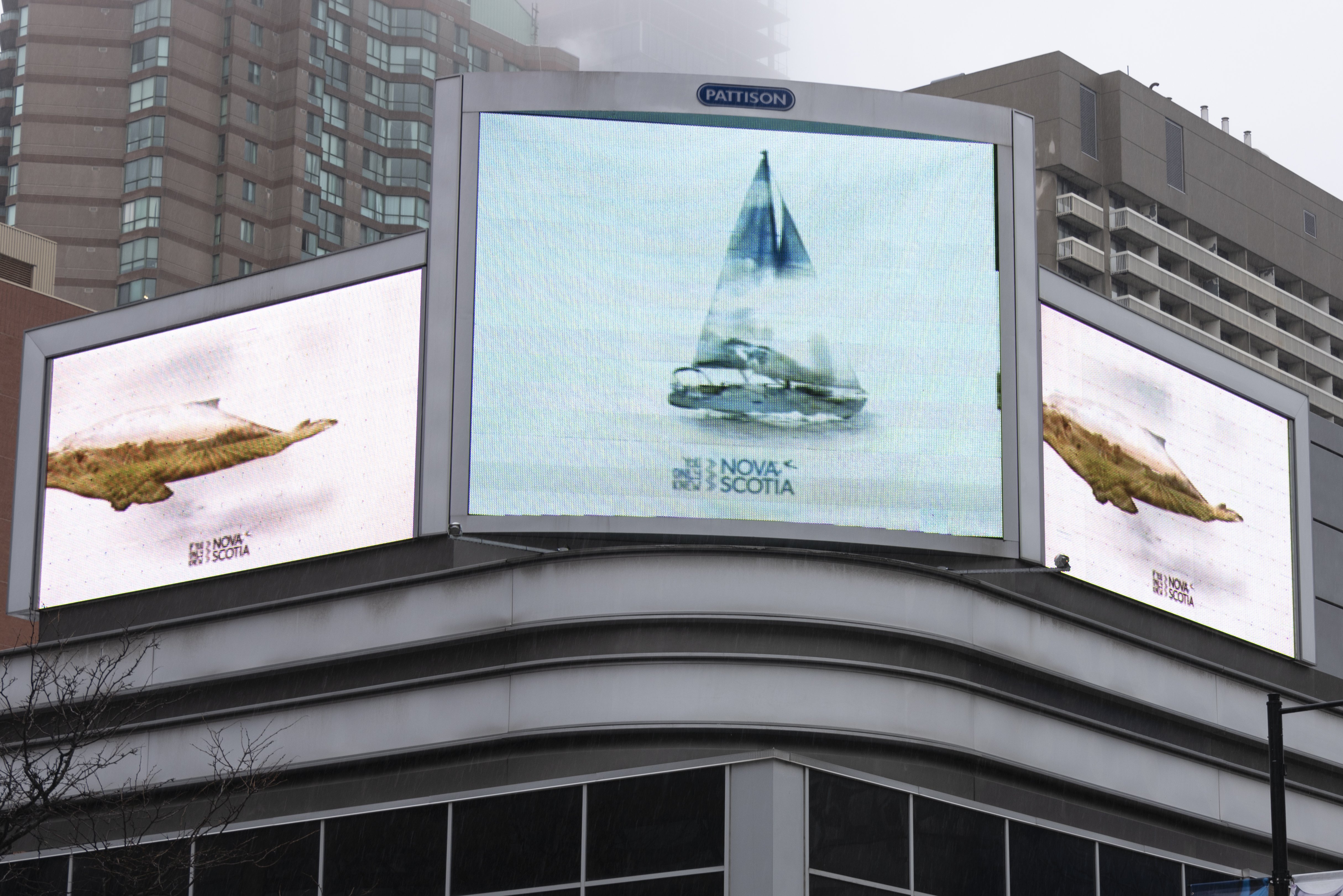 Digital billboard at the Corner of Yonge and Edward in Toronto’s Financal District.
