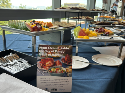 TNS support for a nutrition break at ATWS. There is fruit and muffins and coffee on the table. 