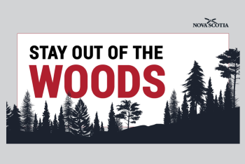 Stay Out of the Woods graphic with the Province of Nova Scotia logo on it. 