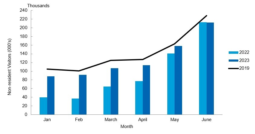 Bar graph comparing monthly visitation from January to June 2023 to same months in 2022.