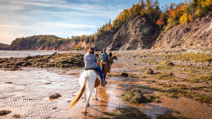 Line of people riding horses on the beach.