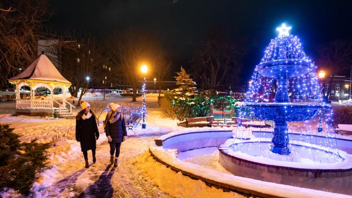 Two people walking in a park next to a lit Christmas tree at night