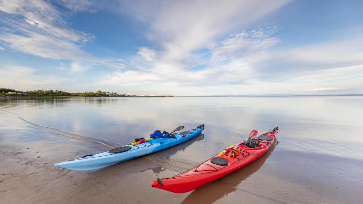 A blue and a red kayak along the beach shore