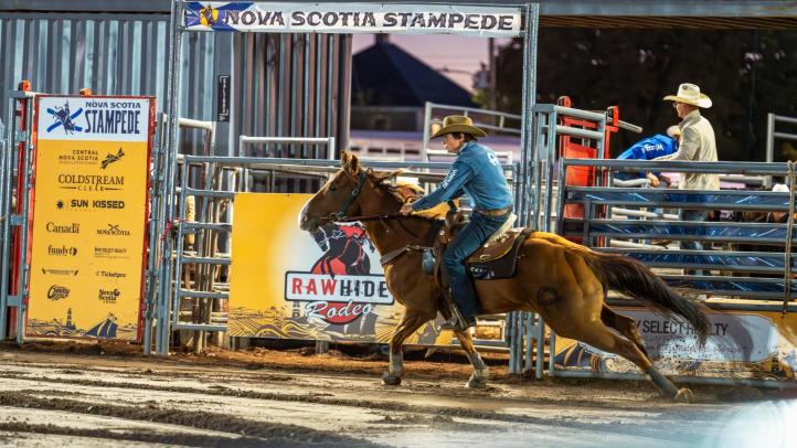 A person riding a horse around the ring at the NS Stampede