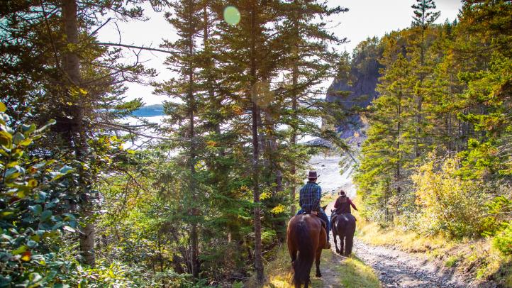 Two people each riding horses on a trail in the woods