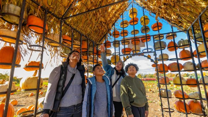 A group stand inside a house with walls made of pumpkins and a roof made of straw. 