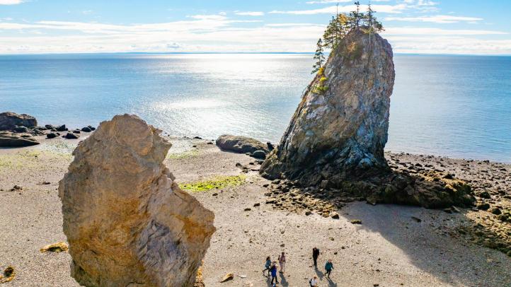 Mudlarking at the Cliffs of Fundy Geopark
