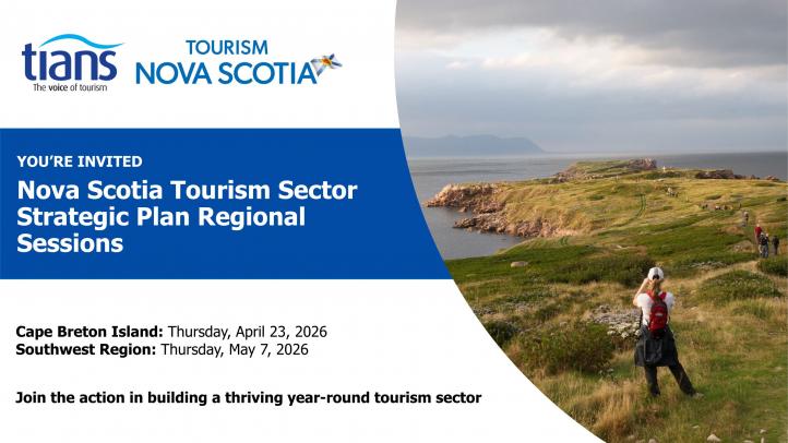 A person standing on a grass overlooking the ocean