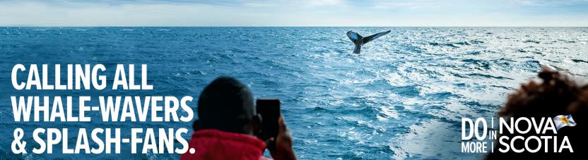 Whale watching billboard