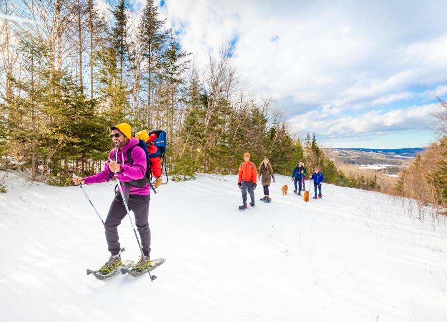 A group of five people and two dogs enjoying a snowshoeing afternoon at Keppoch.