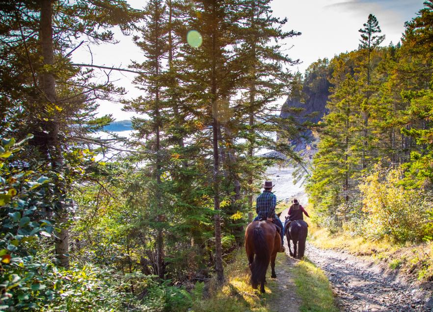 Two people each riding horses on a trail in the woods