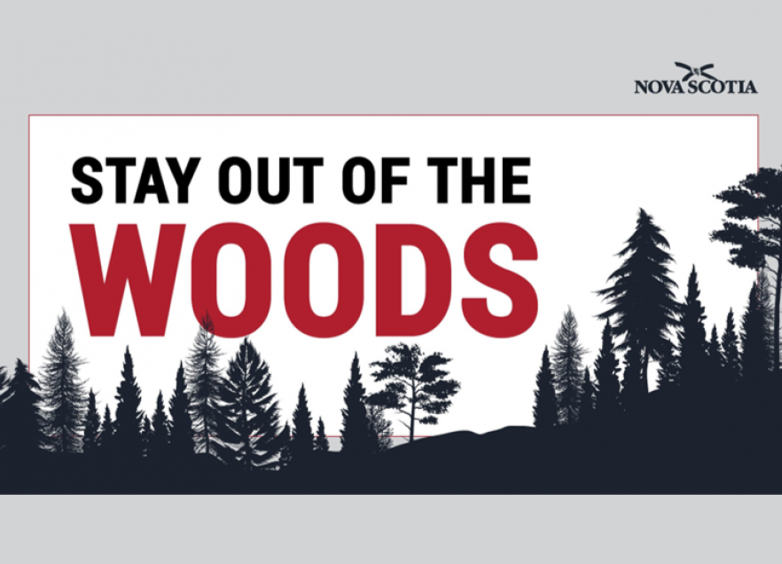 A graphic that says, "Stay Out Of The Woods" 