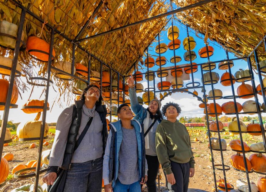 A group stand inside a house with walls made of pumpkins and a roof made of straw. 