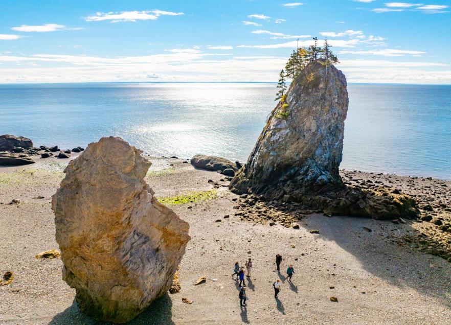 Mudlarking at the Cliffs of Fundy Geopark