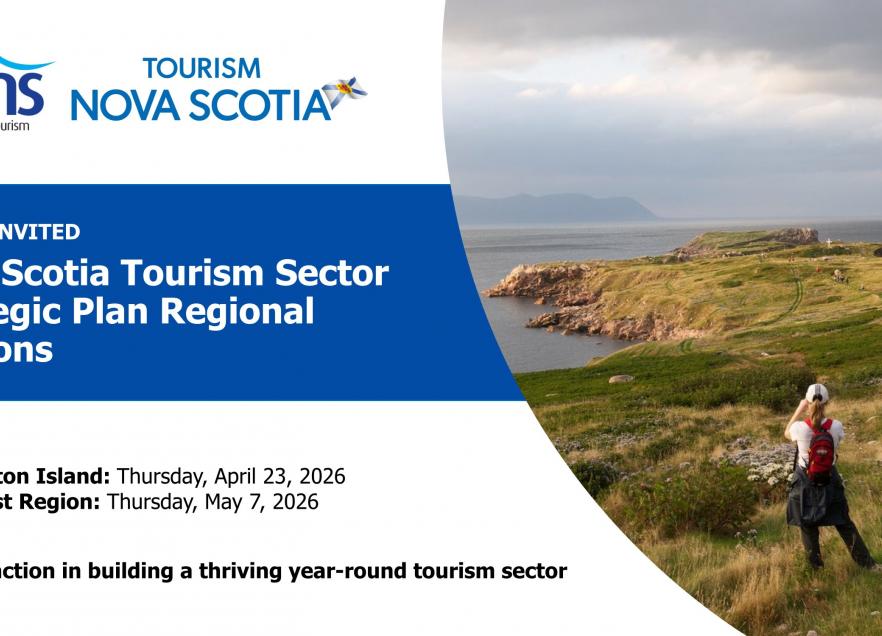 A person standing on a grass overlooking the ocean