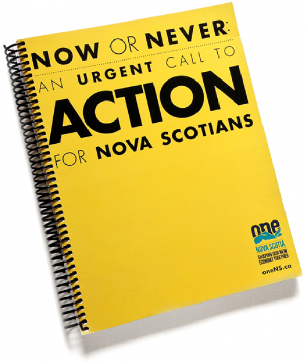 Now or Never Ivany Report cover